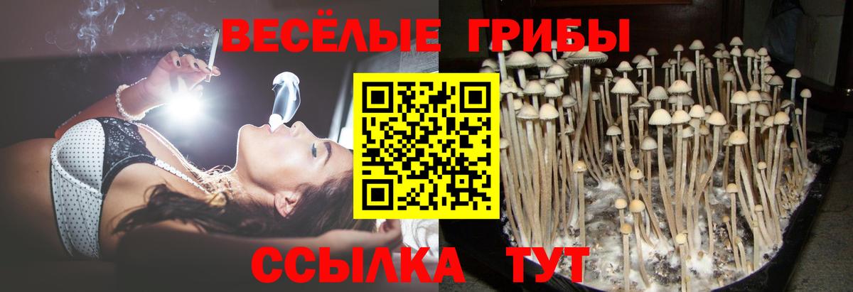 Галлюциногенные грибы мицелий Россошь