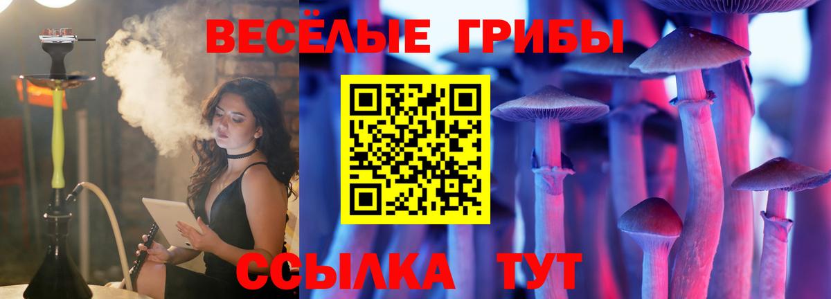Псилоцибиновые грибы мухоморы  Галлюциногенные грибы GOLDEN TEACHER  закладка  Вход с VPN  Россошь 